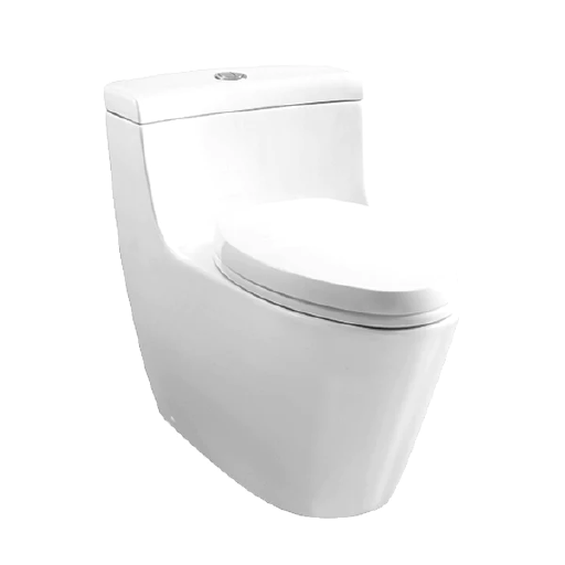 TOTO One Piece Toilet Suite